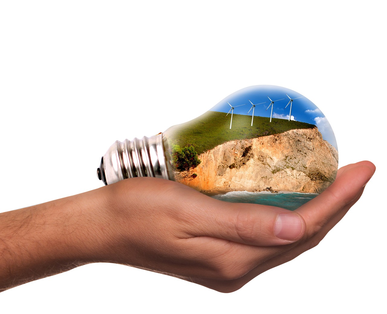 How to Combat Climate Change with Green Energy